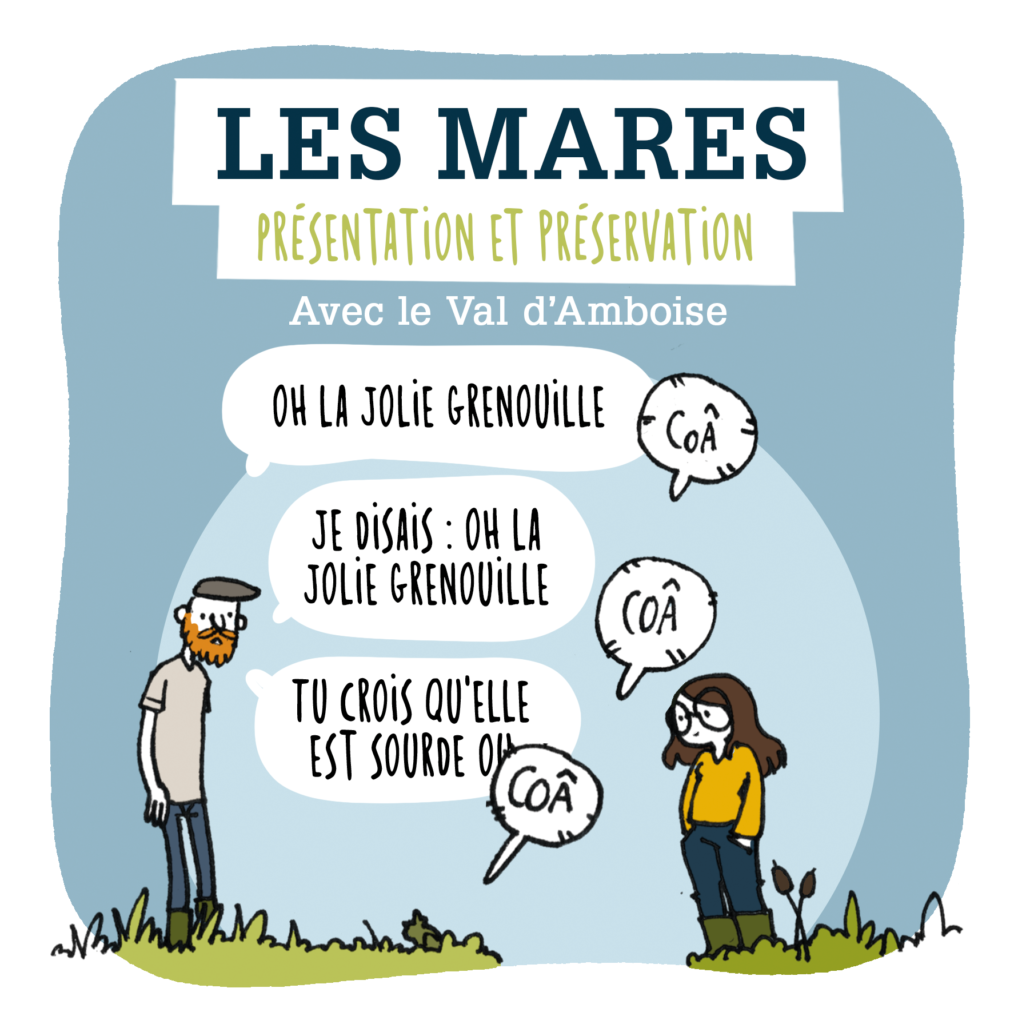 Case du strip "LES MARES" avec le Val d'Amboise - Nepsie & Le Vilain