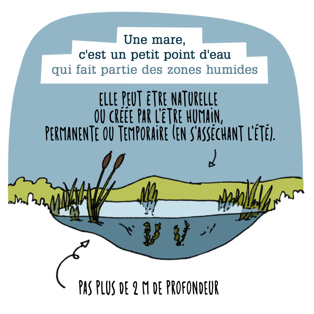 Case du strip "LES MARES" avec le Val d'Amboise - Nepsie & Le Vilain